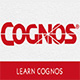Cognos教程
