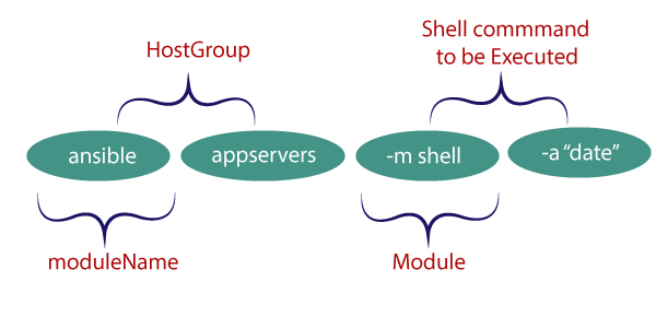 Ansible Shell