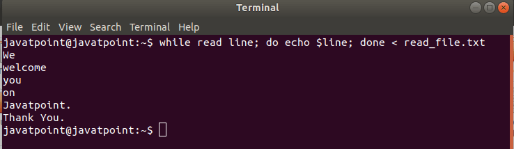 Bash Read File