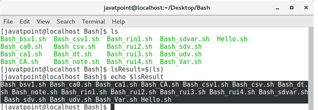 Bash Variables