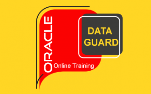 Oracle Data Guard 在线培训