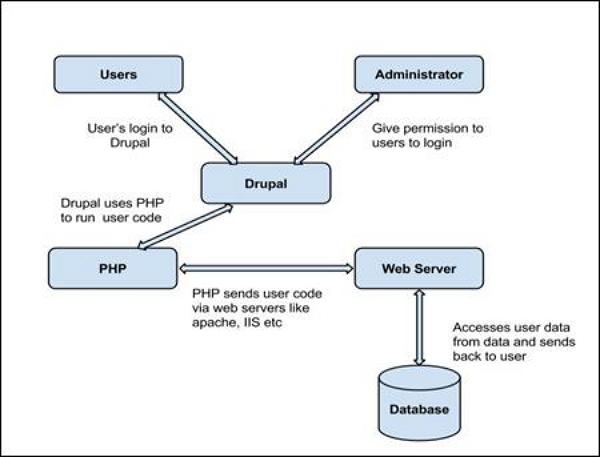 Drupal 分类法