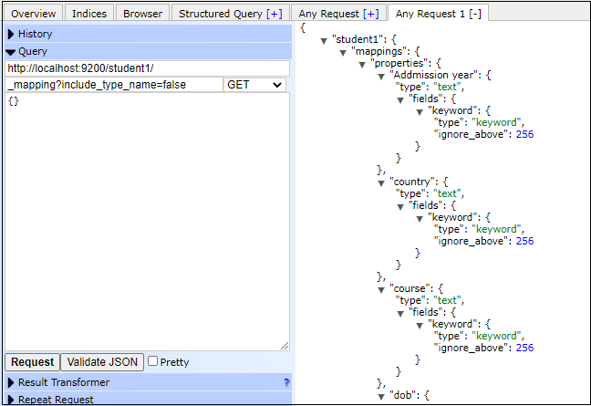 Elasticsearch Mapping