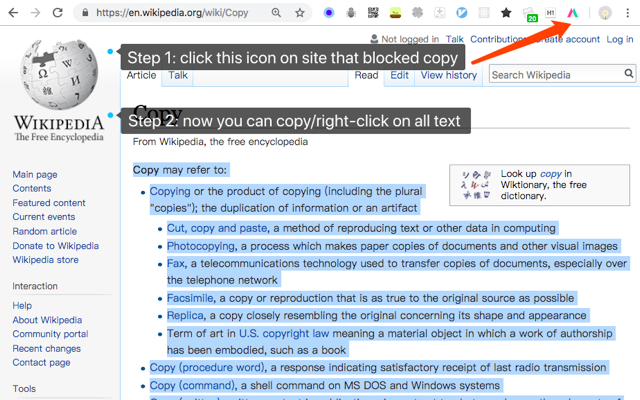 Simple Allow Copy软件截图