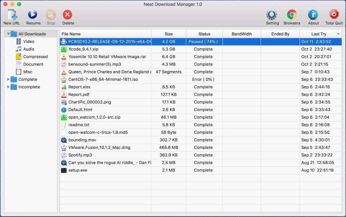 NeatDownloadManager软件截图