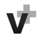 v2ex Plus图标