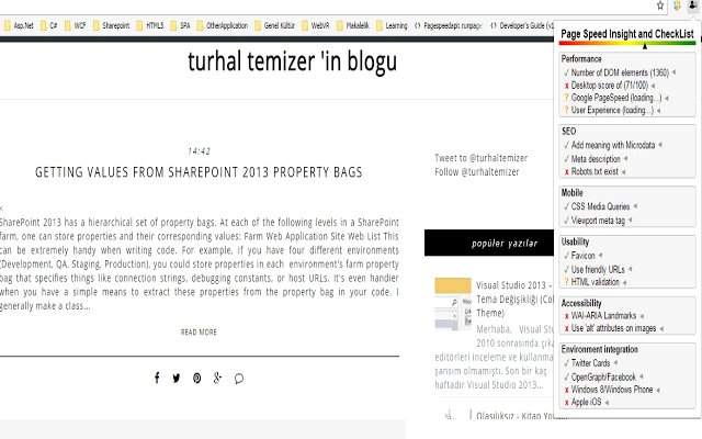 PageSpeed Insight and CheckList软件截图