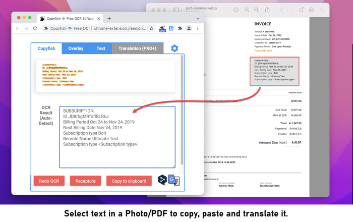 Copyfish 复制鱼软件截图