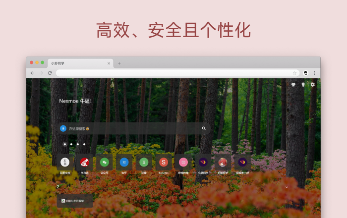 小舒同学 - 基于书签的新建标签页软件截图