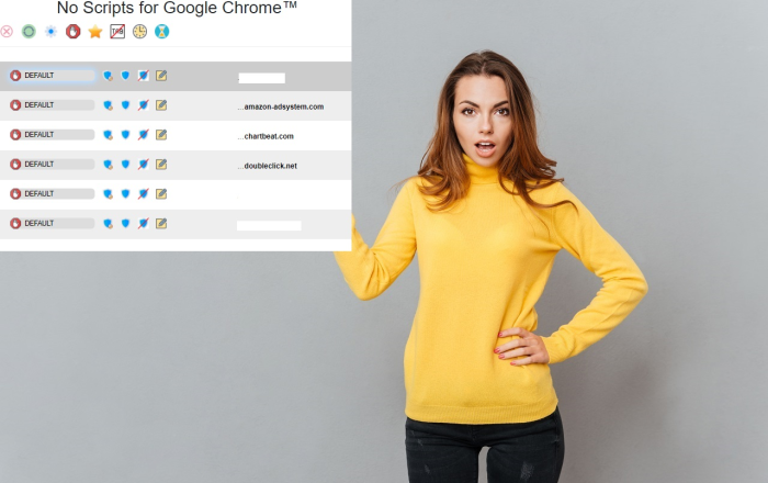 No Scripts for Google Chrome™软件截图