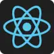 React Developer Tools 开发工具图标