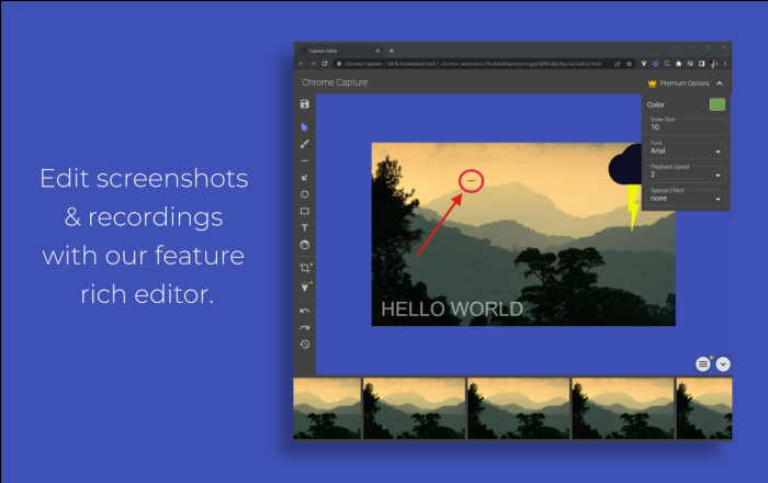 ChromeCapture 截图和录制gif软件截图