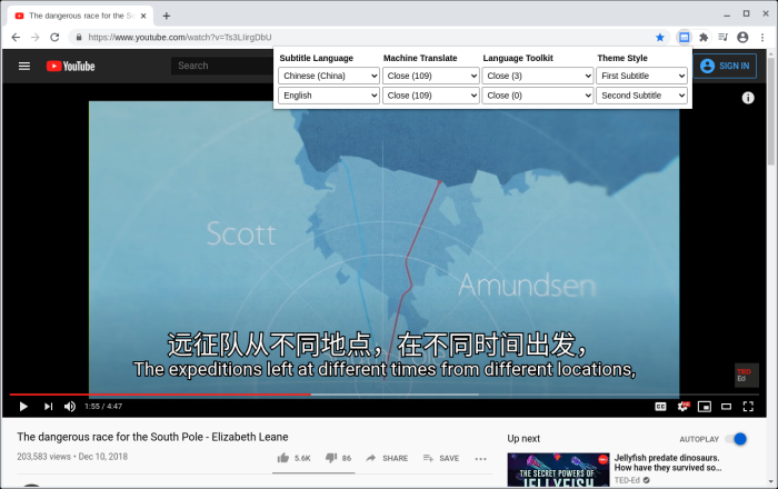 Dualsub 通用字幕渲染器软件截图