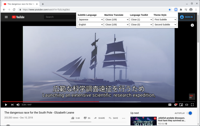 Dualsub 通用字幕渲染器软件截图