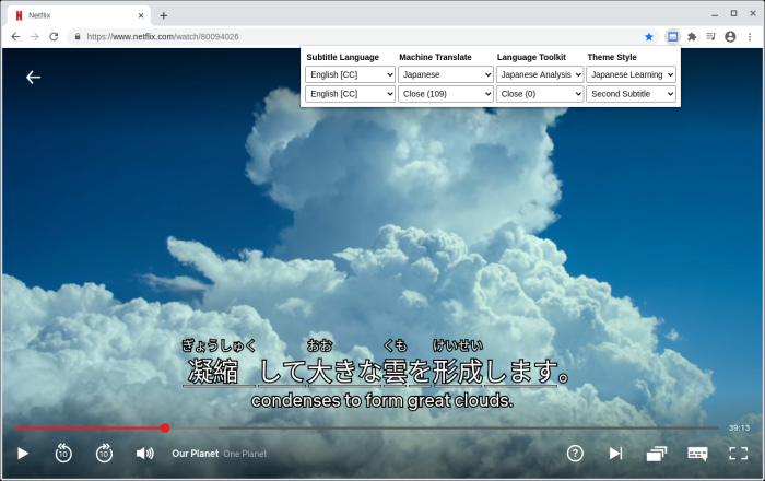 Dualsub 通用字幕渲染器软件截图