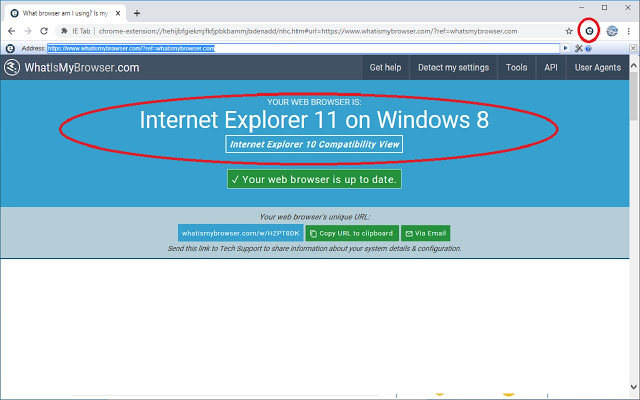 IE Tab 让Chrome兼容IE软件截图