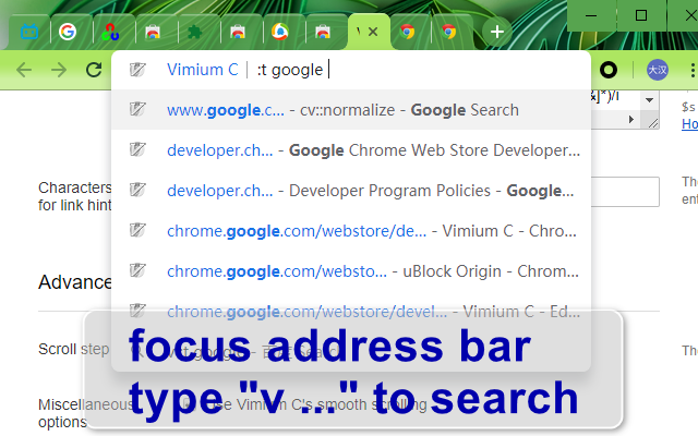 Vimium C - 全键盘操作浏览器软件截图
