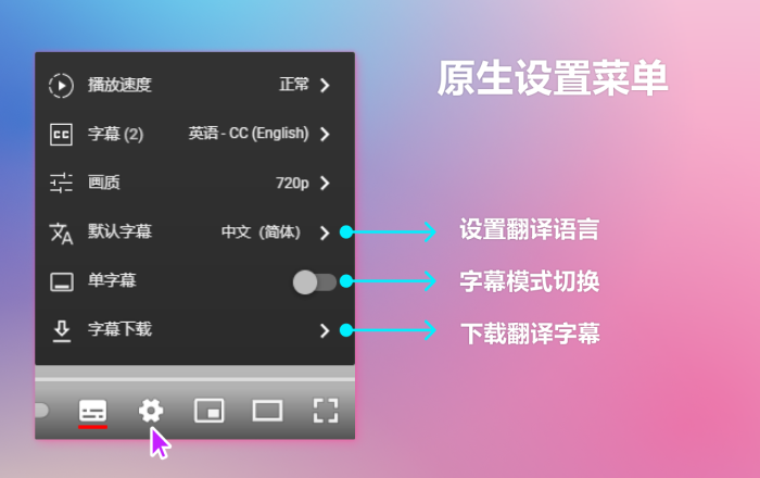 YouTube 双字幕软件截图