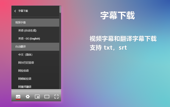 YouTube 双字幕软件截图
