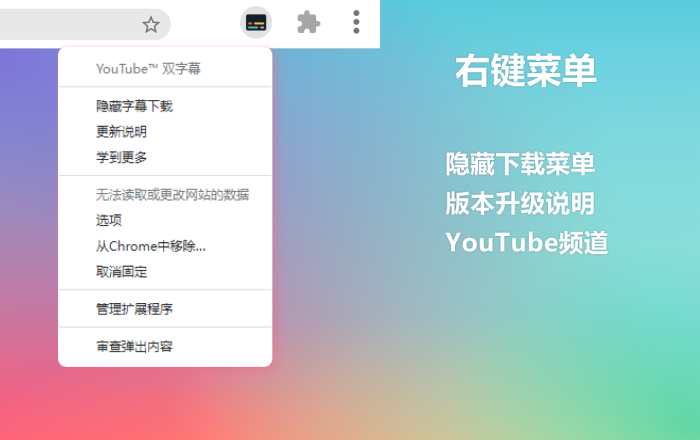YouTube 双字幕软件截图