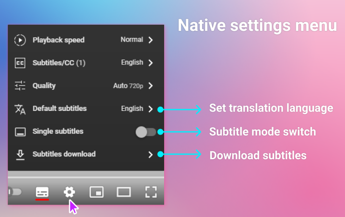 YouTube 双字幕软件截图