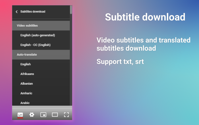 YouTube 双字幕软件截图