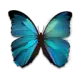 Pixlr Editor 图片编辑器图标