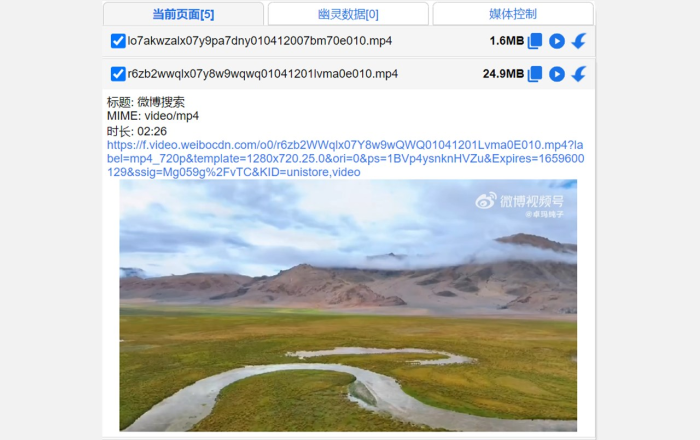 猫抓软件截图