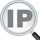 IP Address and Domain Information图标