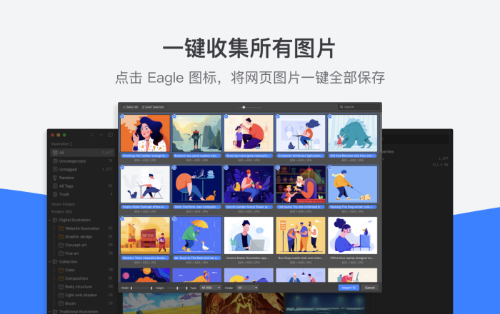 Eagle - 图片灵感收藏工具软件截图
