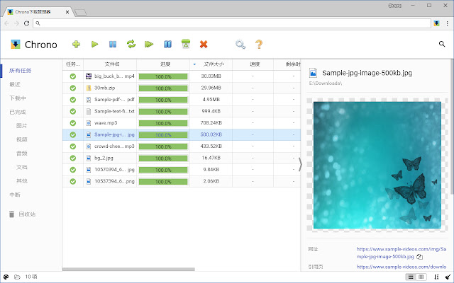 Chrono Chrome下载管理器软件截图