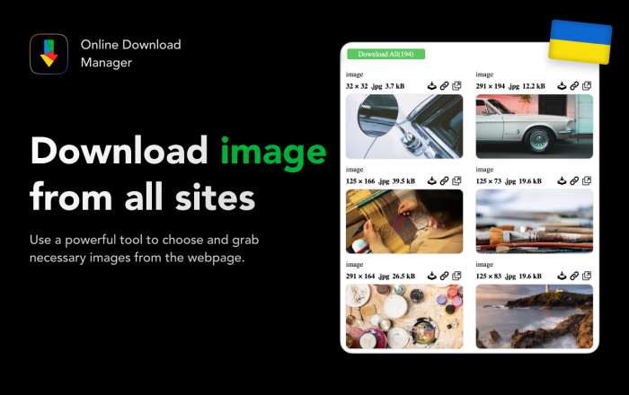 Online Download Manager 下载管理器软件截图