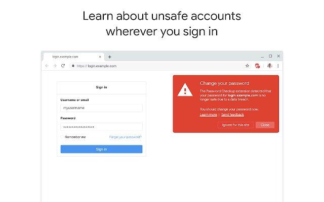 密码安全检查扩展程序软件截图