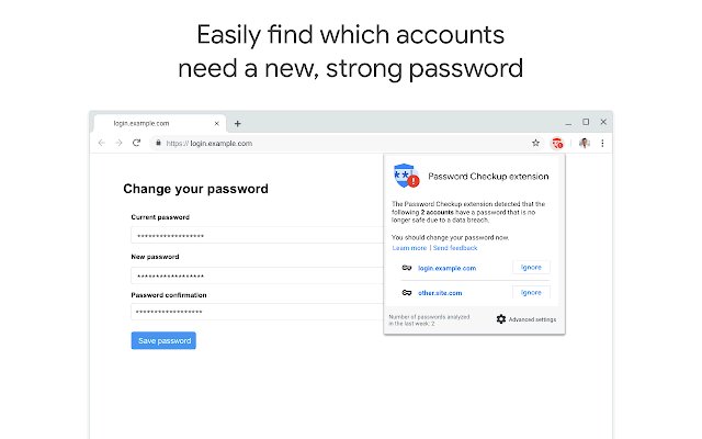 密码安全检查扩展程序软件截图