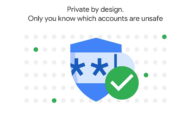 密码安全检查扩展程序软件截图