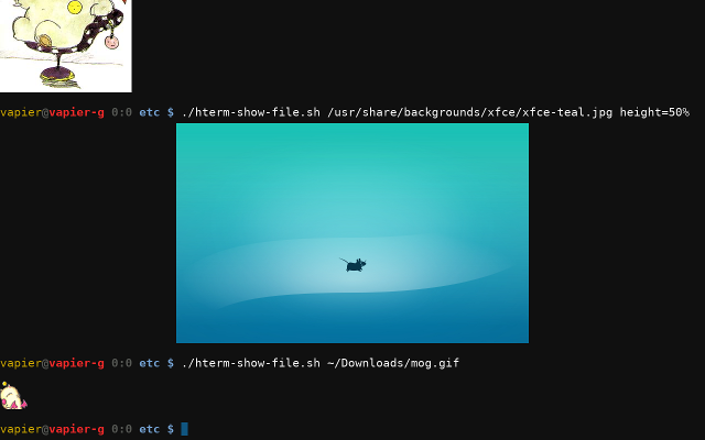Secure Shell App (Chrome 变 SSH 终端)软件截图