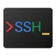 Secure Shell App (Chrome 变 SSH 终端)图标