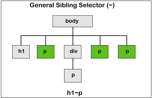  CSS Combinators