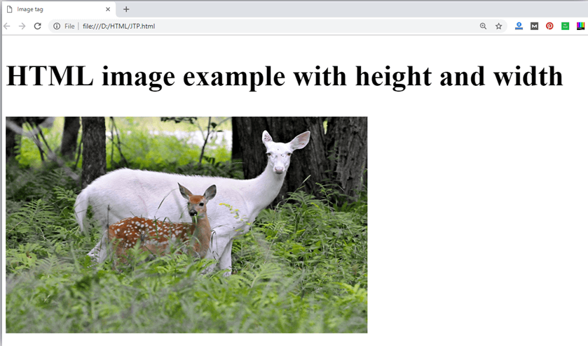  HTML图片