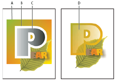 在Adobe Illustrator中绘画