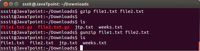 Linux gzip Filters1