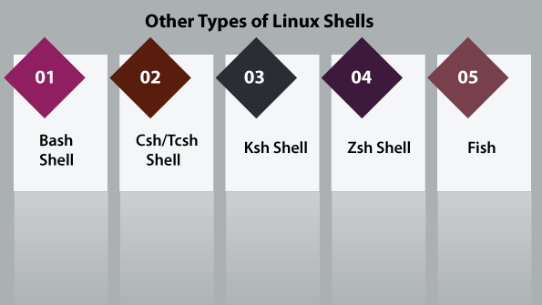 Linux Shell