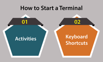 Linux Terminal