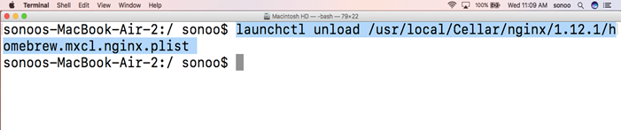 Macos Nginx 4