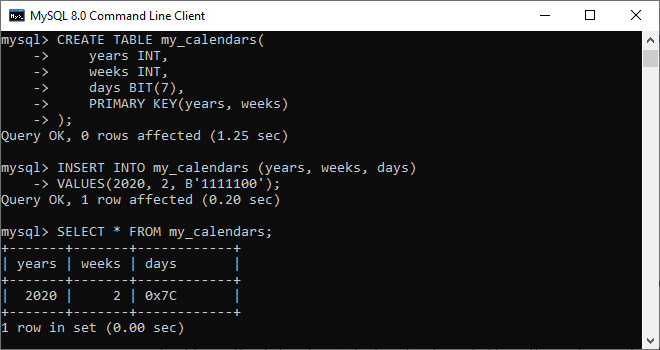 MySQL BIT