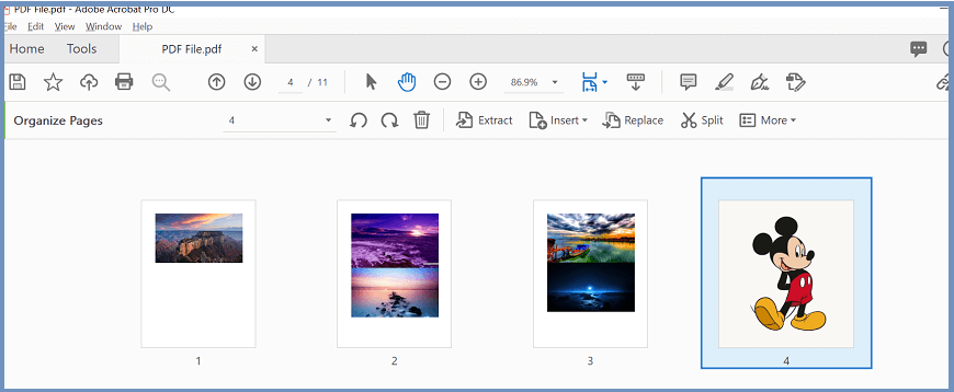 Add Pages in PDF