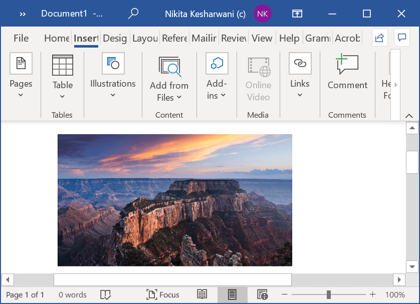 Insert PDF into Word File