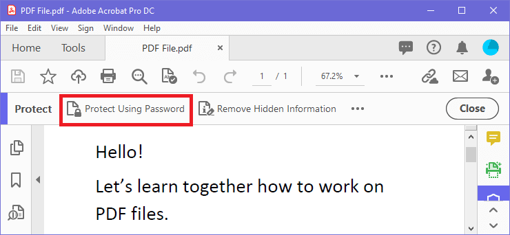 密码保护 PDF