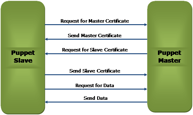 Puppet Architecture