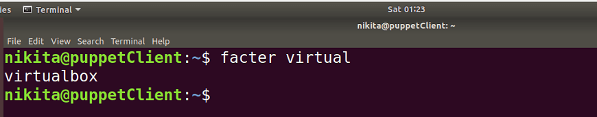 Puppet Facter and Facts